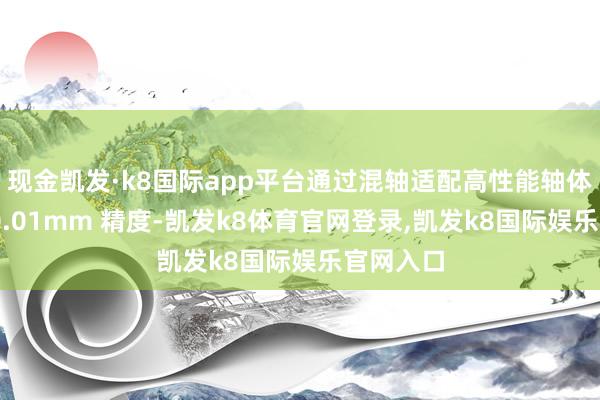 现金凯发·k8国际app平台通过混轴适配高性能轴体可达成 0.01mm 精度-凯发k8体育官网登录,凯发k8国际娱乐官网入口