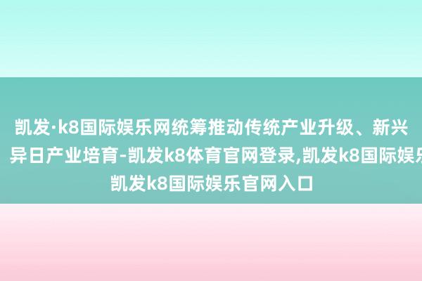 凯发·k8国际娱乐网统筹推动传统产业升级、新兴产业壮大、异日产业培育-凯发k8体育官网登录,凯发k8国际娱乐官网入口